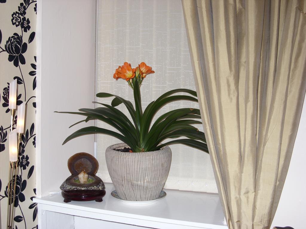 Alba Guest House Aberdeen Esterno foto